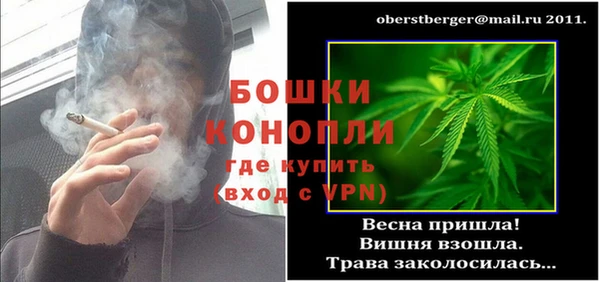 крисы Магас