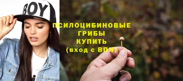 спиды Майский