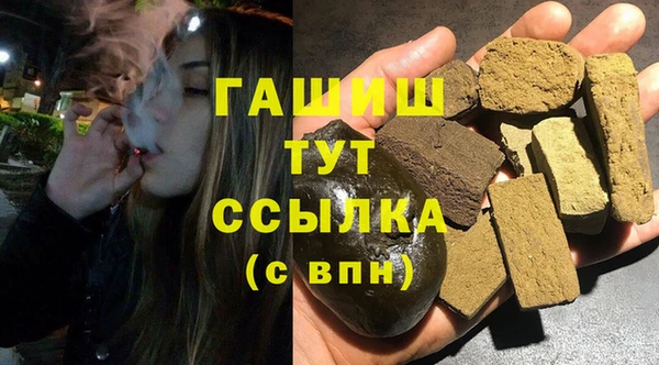 крисы Магас