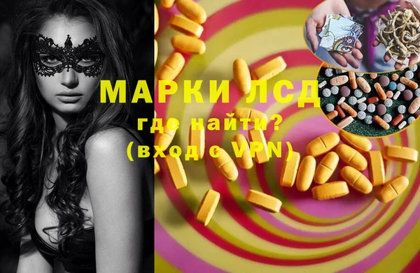 крисы Магас