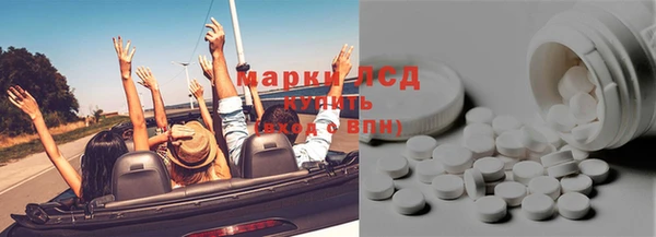 крисы Магас