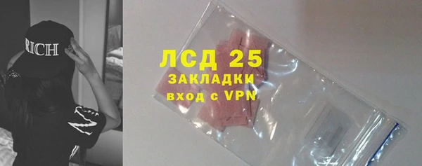 крисы Магас