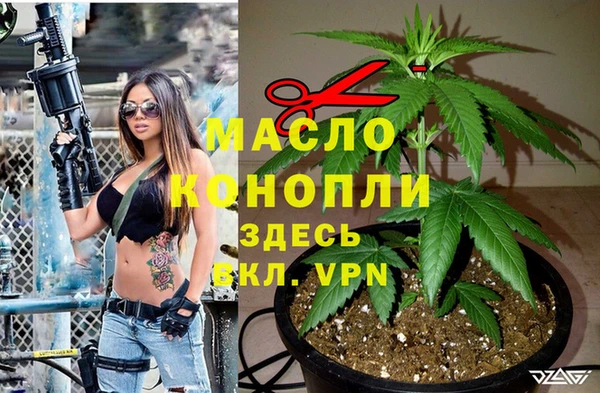 прущие грибы Долгопрудный