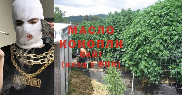 крисы Магас