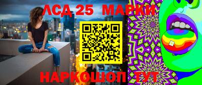 ПСИЛОЦИБИНОВЫЕ ГРИБЫ Гусь-Хрустальный