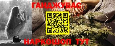 прущие грибы Гусиноозёрск