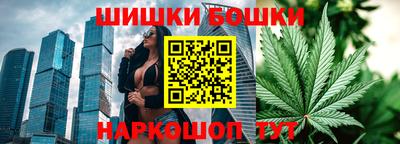 прущие грибы Гусиноозёрск