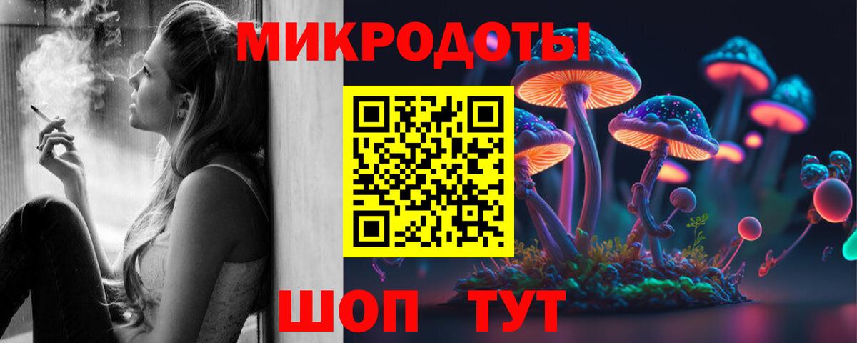 Псилоцибиновые грибы мицелий  Вход с VPN  купить наркоту  Махачкала 