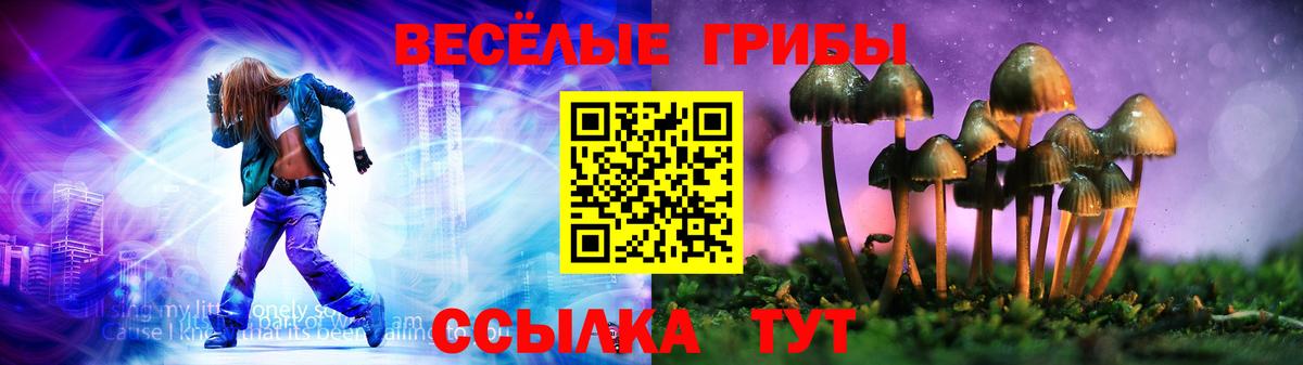 Галлюциногенные грибы ЛСД Махачкала